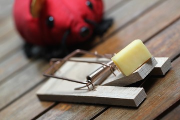 Image showing mouse trap with cheese and a red plastic mouse