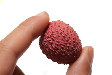 Image showing fresh lychee between human finger