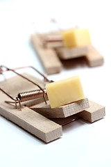 Image showing mouse trap with cheese