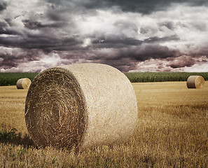 Image showing Straw Bales On A Field