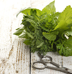 Image showing Fresh Herbs