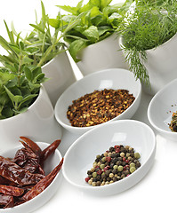 Image showing Herbs And Spices