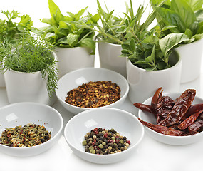 Image showing Herbs And Spices