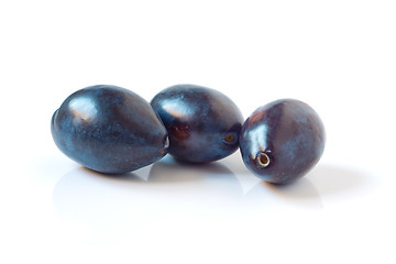 Image showing Plum