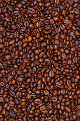 Image showing Coffee beans