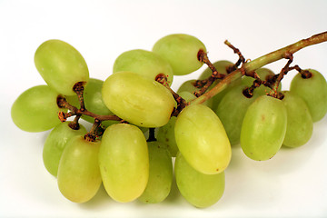 Image showing Grapes