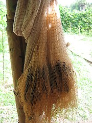 Image showing Fishing Net