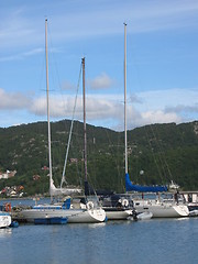 Image showing Some sailboats at a marina