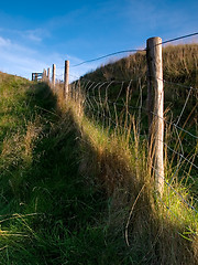 Image showing Fence Line