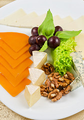 Image showing cheese