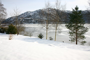 Image showing Winterwonderland