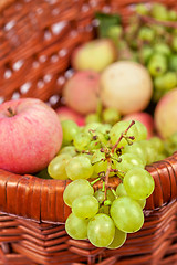 Image showing apples and grapes