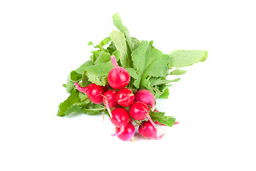 Image showing Fresh radishes