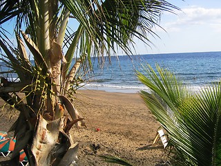 Image showing Beach