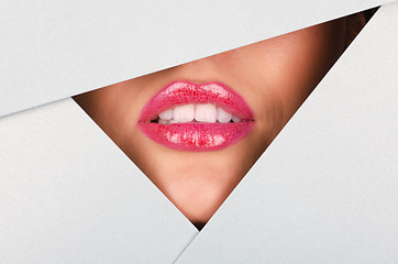 Image showing Beautiful female lips