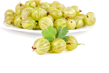 Image showing gooseberries