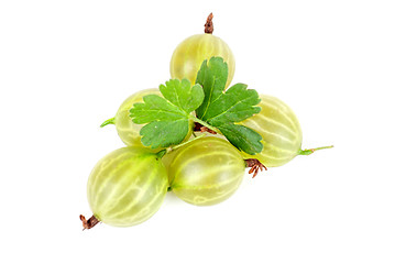 Image showing gooseberries