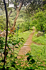 Image showing Walkway in the garden