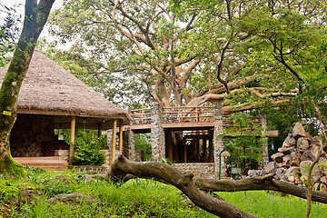 Image showing Tree house and a hut in a garden