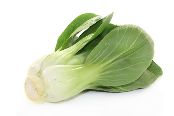 Image showing Pak choi