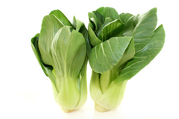 Image showing Pak choi