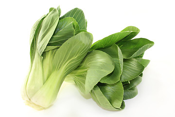 Image showing Pak choi