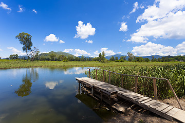 Image showing Wetland pond at blue sky in Hong Kong