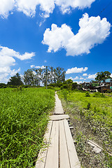 Image showing Beautiful path along the meadows