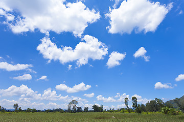 Image showing Hong Kong wetland with blue sky