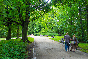 Image showing Senior couple in the park