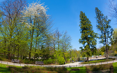Image showing Park in spring time