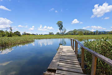 Image showing Hong Kong wetland pond