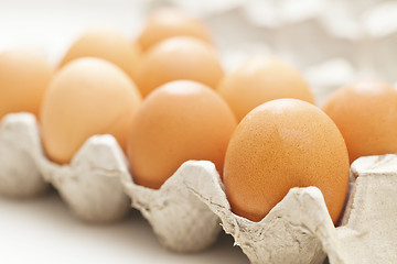 Image showing Eggs in package