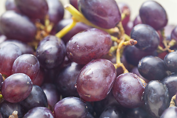 Image showing Red grapes isolated on white background