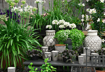 Image showing Beautiful plants and ceramics in a flower shop