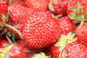 Image showing Strawberry