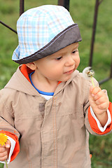 Image showing Little boy with dandelions