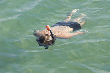 Image showing Man floats in the sea