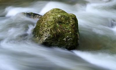 Image showing Milky water torrent