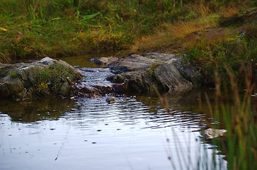 Image showing Pond