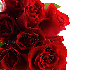 Image showing red roses