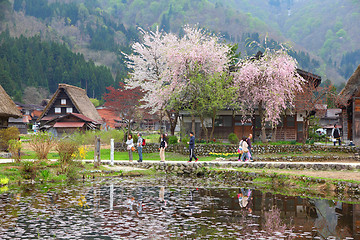 Image showing Shirakawa-go, Japan