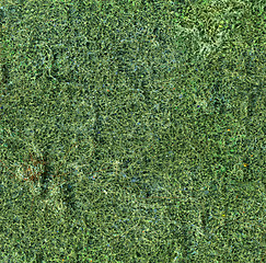 Image showing frizzly green background