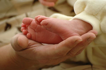 Image showing Mother holding her newborn's foot