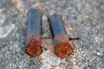 Image showing Shotgun Shells