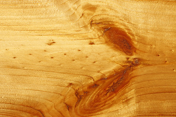 Image showing Wooden lacquered board with knots