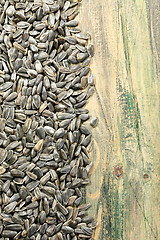 Image showing Sunflower seeds.