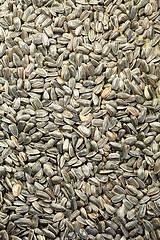 Image showing Unrefined sunflower seeds.