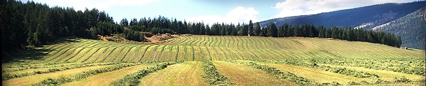 Image showing Hay Field Panorama
