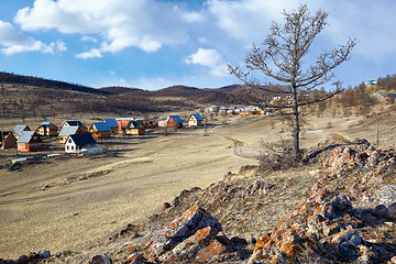 Image showing Lonely tree